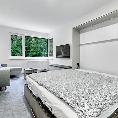 Apartment Pod Horami Ostrov (Karlovy Vary)